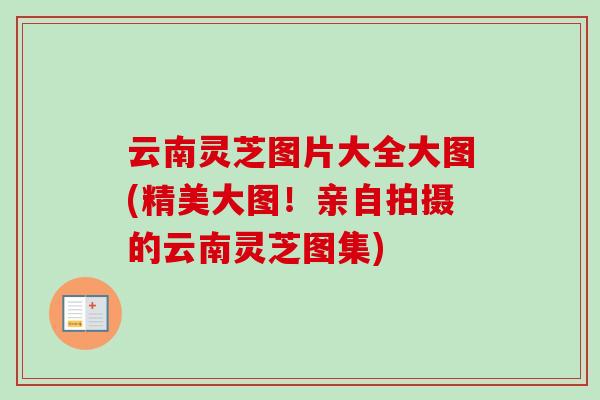 云南灵芝图片大全大图(精美大图！亲自拍摄的云南灵芝图集)