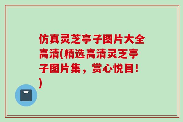 仿真灵芝亭子图片大全高清(精选高清灵芝亭子图片集，赏心悦目！)