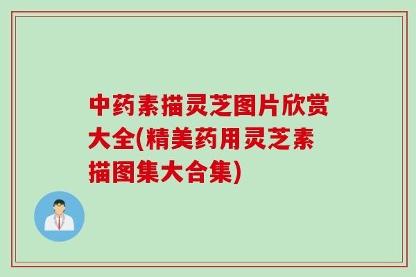 中药素描灵芝图片欣赏大全(精美药用灵芝素描图集大合集)