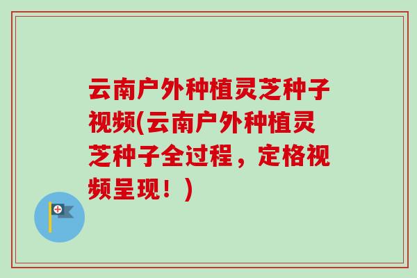 云南户外种植灵芝种子视频(云南户外种植灵芝种子全过程，定格视频呈现！)