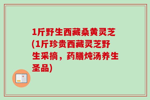 1斤野生西藏桑黄灵芝(1斤珍贵西藏灵芝野生采摘，药膳炖汤养生圣品)