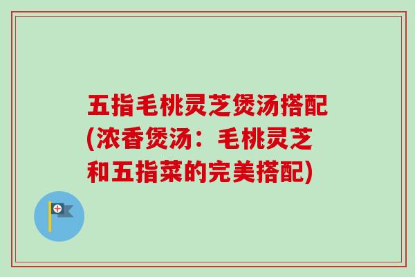 五指毛桃灵芝煲汤搭配(浓香煲汤：毛桃灵芝和五指菜的完美搭配)