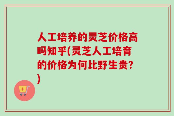 人工培养的灵芝价格高吗知乎(灵芝人工培育的价格为何比野生贵？)
