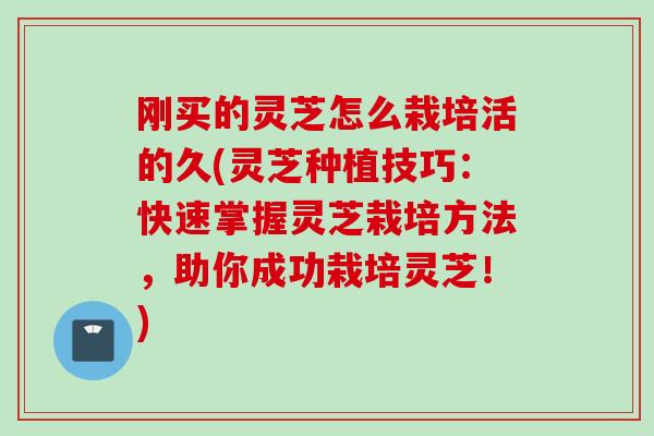 刚买的灵芝怎么栽培活的久(灵芝种植技巧：快速掌握灵芝栽培方法，助你成功栽培灵芝！)