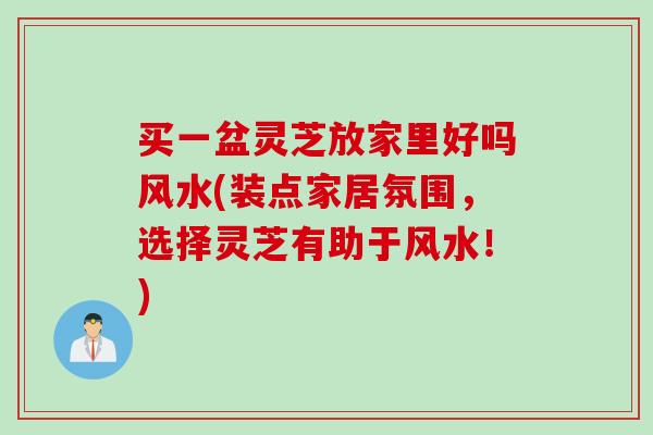 买一盆灵芝放家里好吗风水(装点家居氛围，选择灵芝有助于风水！)