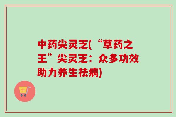 中药尖灵芝(“草药之王”尖灵芝：众多功效助力养生祛病)