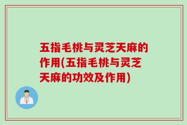 五指毛桃与灵芝天麻的作用(五指毛桃与灵芝天麻的功效及作用) 五指毛桃与灵芝天麻的作用(五指毛桃与灵芝天麻的功效及作用)