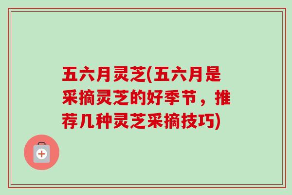 五六月灵芝(五六月是采摘灵芝的好季节，推荐几种灵芝采摘技巧)