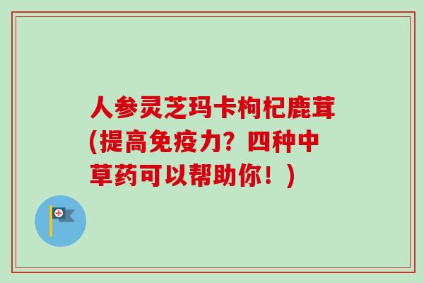 人参灵芝玛卡枸杞鹿茸(提高免疫力？四种中草药可以帮助你！)