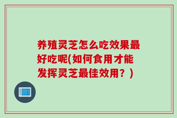 养殖灵芝怎么吃效果最好吃呢(如何食用才能发挥灵芝最佳效用？)