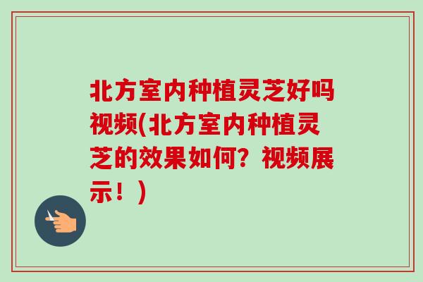 北方室内种植灵芝好吗视频(北方室内种植灵芝的效果如何？视频展示！)