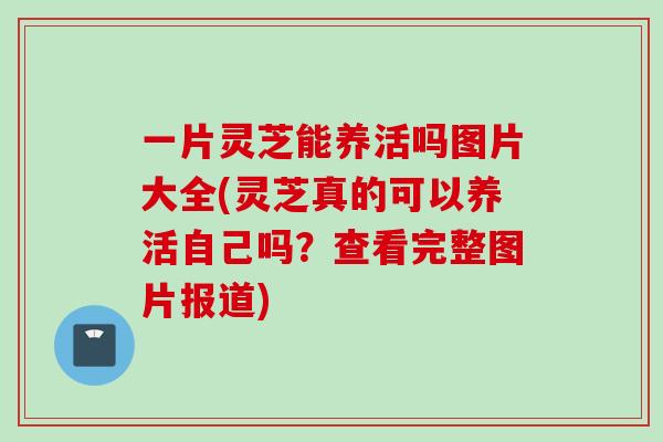 一片灵芝能养活吗图片大全(灵芝真的可以养活自己吗？查看完整图片报道)