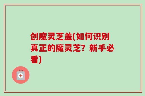 创魔灵芝盖(如何识别真正的魔灵芝？新手必看)