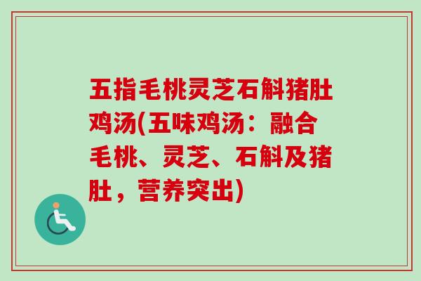 五指毛桃灵芝石斛猪肚鸡汤(五味鸡汤：融合毛桃、灵芝、石斛及猪肚，营养突出)