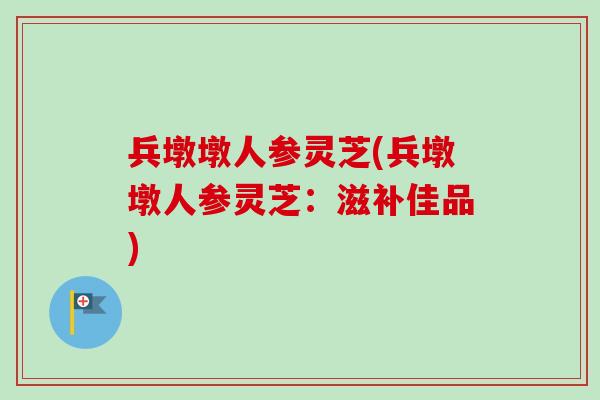兵墩墩人参灵芝(兵墩墩人参灵芝：滋补佳品)