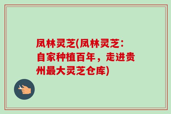 凤林灵芝(凤林灵芝：自家种植百年，走进贵州最大灵芝仓库)