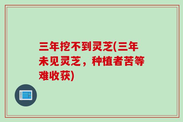 三年挖不到灵芝(三年未见灵芝，种植者苦等难收获)