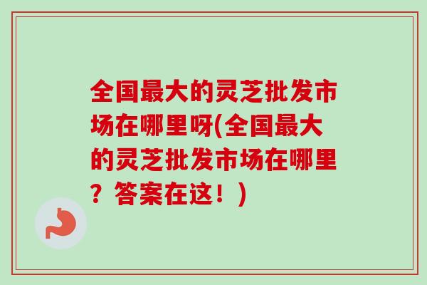 全国最大的灵芝批发市场在哪里呀(全国最大的灵芝批发市场在哪里？答案在这！)