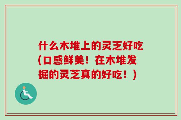 什么木堆上的灵芝好吃(口感鲜美！在木堆发掘的灵芝真的好吃！)