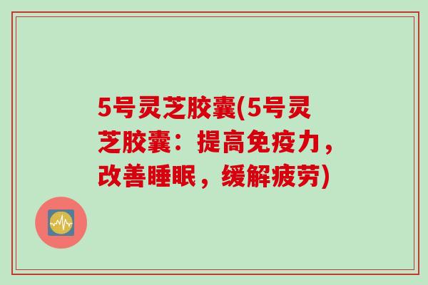 5号灵芝胶囊(5号灵芝胶囊：提高免疫力，改善睡眠，缓解疲劳)