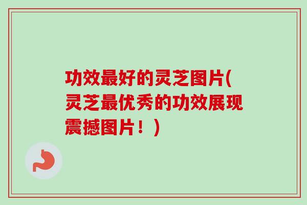 功效最好的灵芝图片(灵芝最优秀的功效展现震撼图片！)