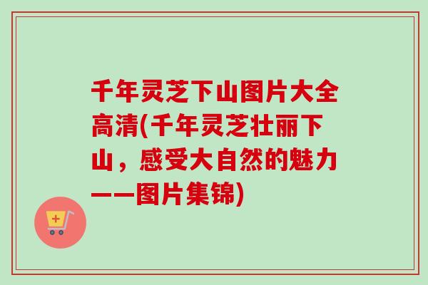 千年灵芝下山图片大全高清(千年灵芝壮丽下山，感受大自然的魅力——图片集锦)