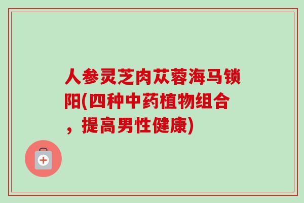人参灵芝肉苁蓉海马锁阳(四种中药植物组合，提高男性健康)
