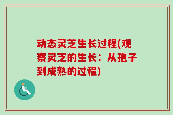 动态灵芝生长过程(观察灵芝的生长:从孢子到成熟的过程) 动态灵芝生长过程(观察灵芝的生长:从孢子到成熟的过程)