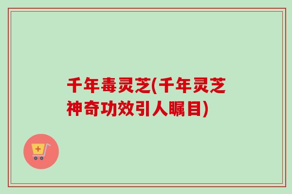 千年毒灵芝(千年灵芝神奇功效引人瞩目)