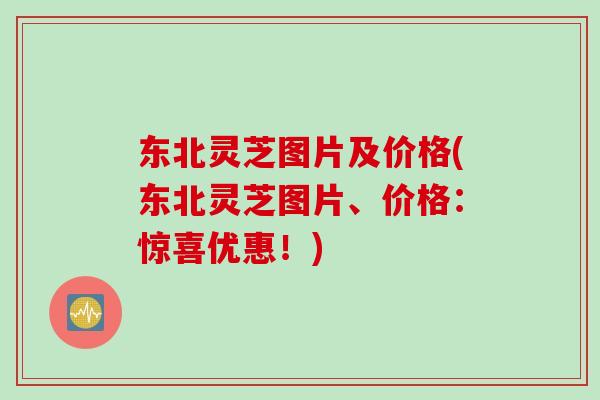 东北灵芝图片及价格(东北灵芝图片、价格：惊喜优惠！)