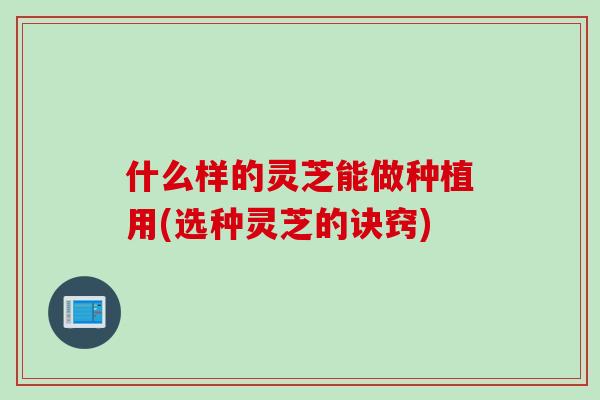 什么样的灵芝能做种植用(选种灵芝的诀窍)