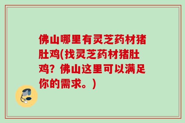 佛山哪里有灵芝药材猪肚鸡(找灵芝药材猪肚鸡？佛山这里可以满足你的需求。)
