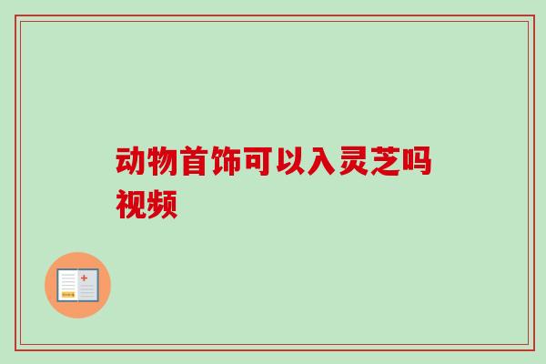 动物首饰可以入灵芝吗视频