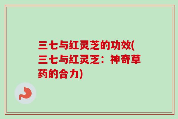 三七与红灵芝的功效(三七与红灵芝：神奇草药的合力)