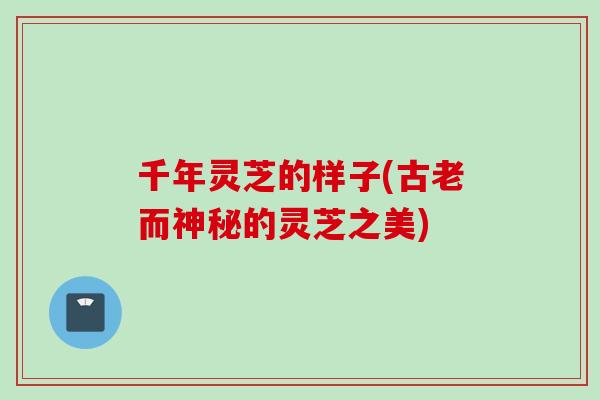 千年灵芝的样子(古老而神秘的灵芝之美)