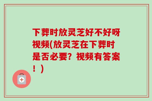 下葬时放灵芝好不好呀视频(放灵芝在下葬时是否必要？视频有答案！)