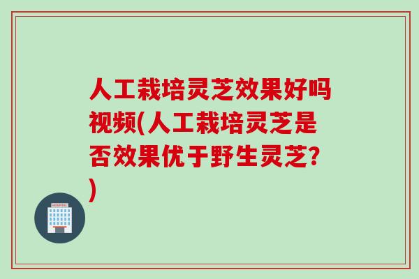 人工栽培灵芝效果好吗视频(人工栽培灵芝是否效果优于野生灵芝？)