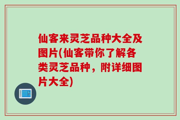 仙客来灵芝品种大全及图片(仙客带你了解各类灵芝品种，附详细图片大全)