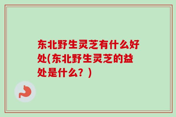 东北野生灵芝有什么好处(东北野生灵芝的益处是什么？)