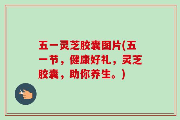 五一灵芝胶囊图片(五一节，健康好礼，灵芝胶囊，助你养生。)