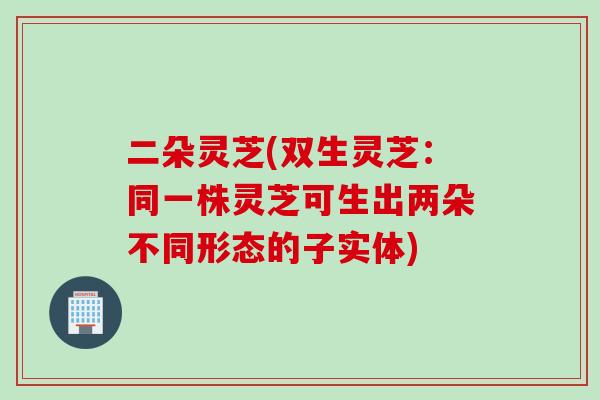 二朵灵芝(双生灵芝：同一株灵芝可生出两朵不同形态的子实体)