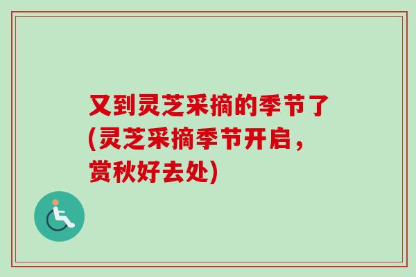 又到灵芝采摘的季节了(灵芝采摘季节开启，赏秋好去处)