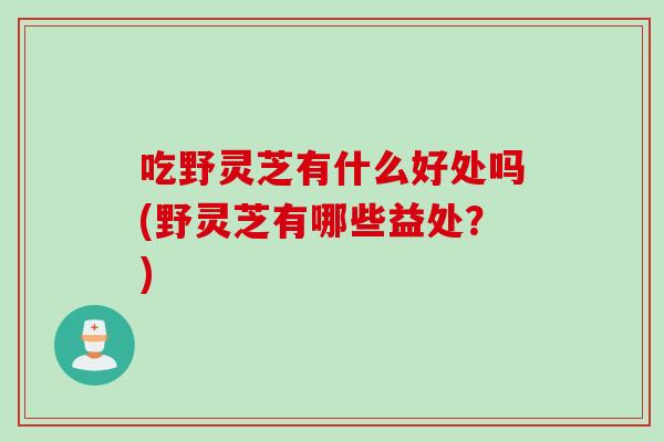 吃野灵芝有什么好处吗(野灵芝有哪些益处？)