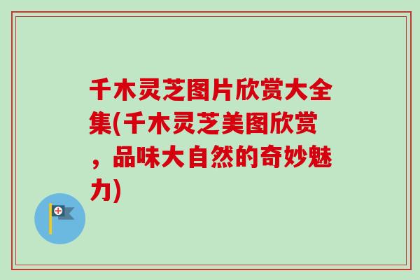 千木灵芝图片欣赏大全集(千木灵芝美图欣赏，品味大自然的奇妙魅力)