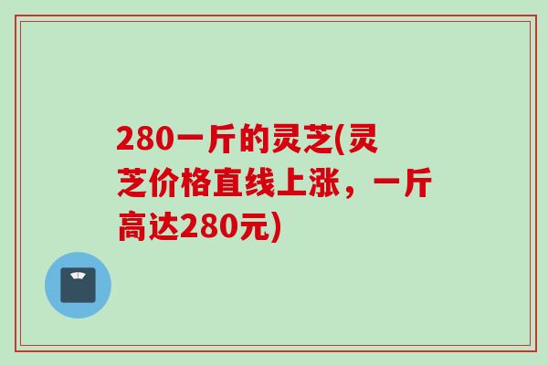 280一斤的灵芝(灵芝价格直线上涨，一斤高达280元)