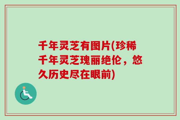 千年灵芝有图片(珍稀千年灵芝瑰丽绝伦，悠久历史尽在眼前)