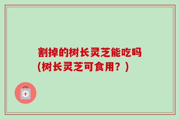 割掉的树长灵芝能吃吗(树长灵芝可食用？)