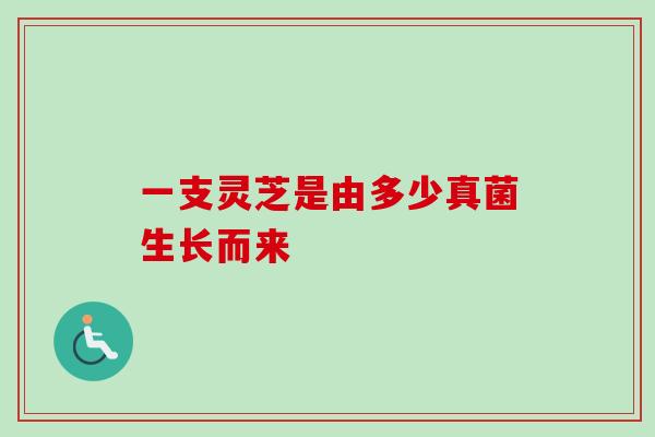 一支灵芝是由多少真菌生长而来