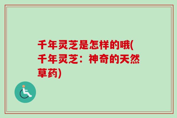 千年灵芝是怎样的哦(千年灵芝：神奇的天然草药)