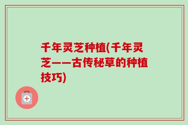 千年灵芝种植(千年灵芝——古传秘草的种植技巧)